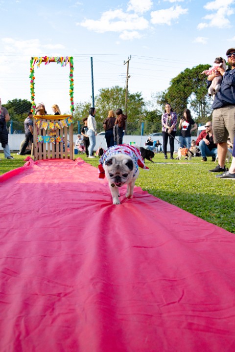 Foto do Pugnic 2026